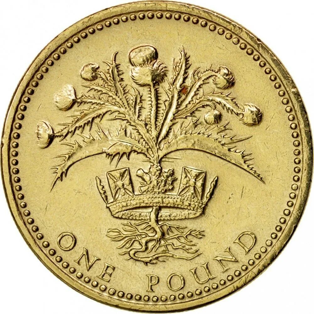 First coins. 1 Фунт Великобритания. One funt 1 фунт Elizabeta 2. Монета Elizabeth 2 one pound. Монета one pound 1984.