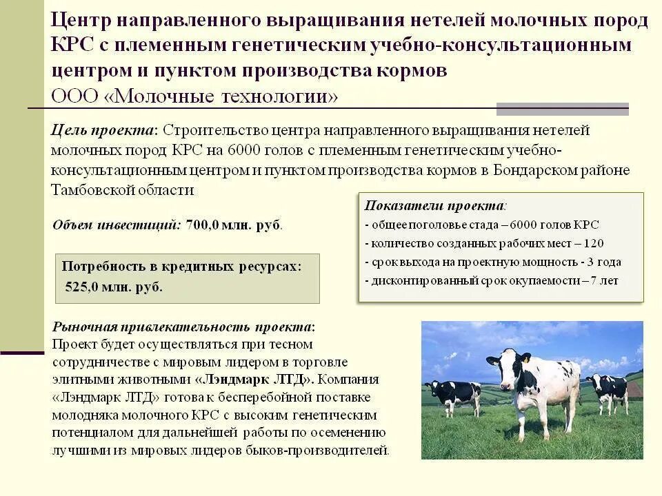 Как работают крс. Выращивание молочного скота. технологии выращивания молодняка крс. разведение крупного рогатого скота. разведение молочного крс.