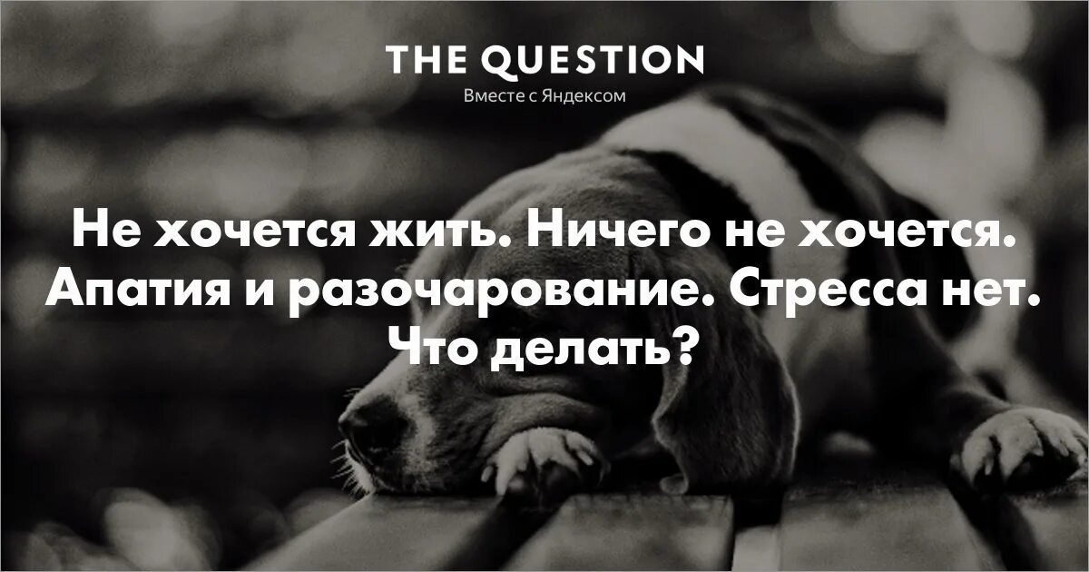 Как называется когда не хочешь жить. Не хочется жить. жить не хочется картинка. если не хочется жить. мне не хочется жить.