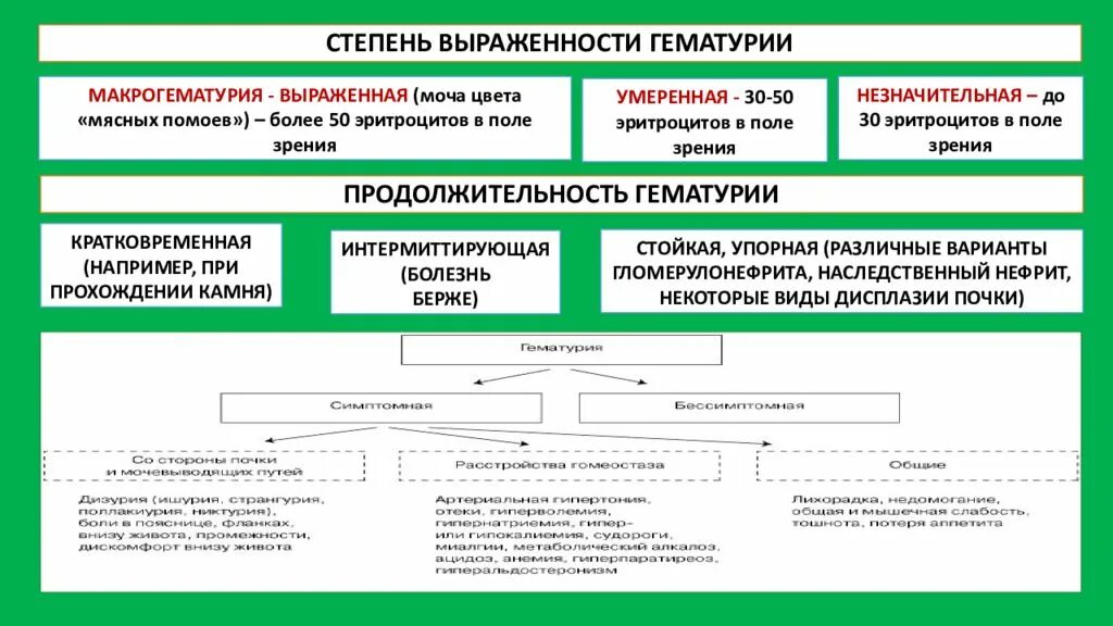 Степени гематурии. Стадии гематурии. Гематурия патогенез. Гематурия механизмы развития.