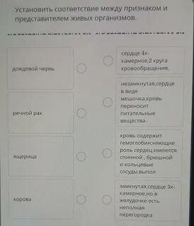 Установи соответствие между живыми организмами