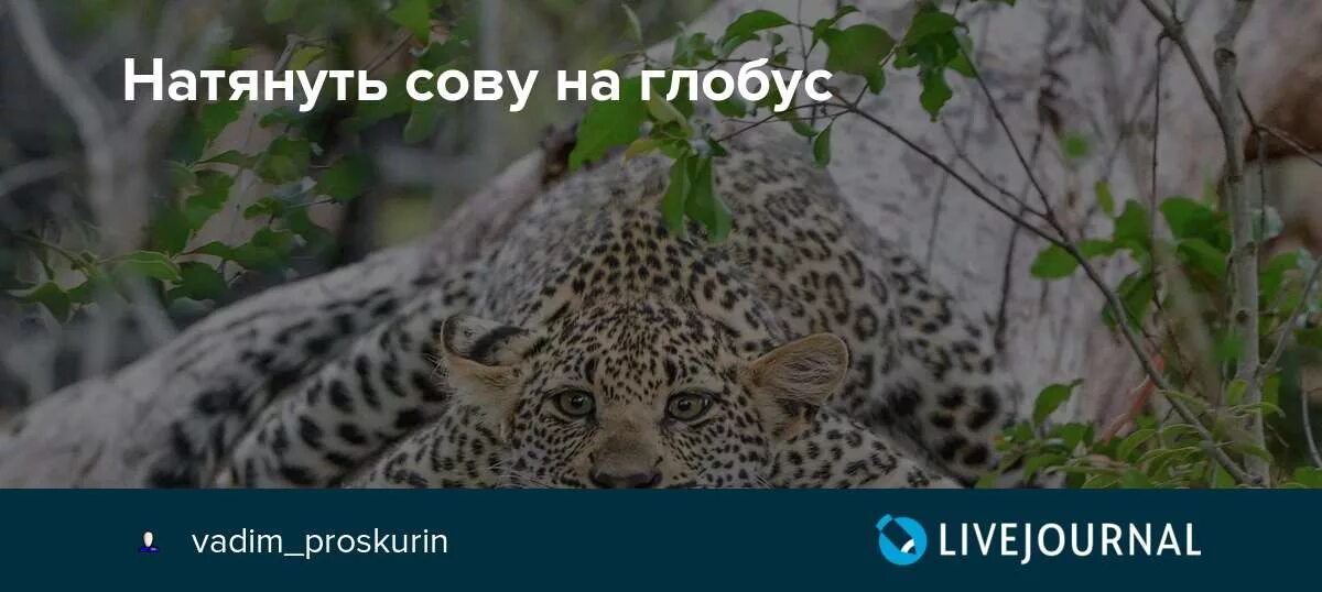 Натягивание Совы на Глобус. Натянуть сову. Сова на глобусе. Натянуть сову на Глобус прикол.