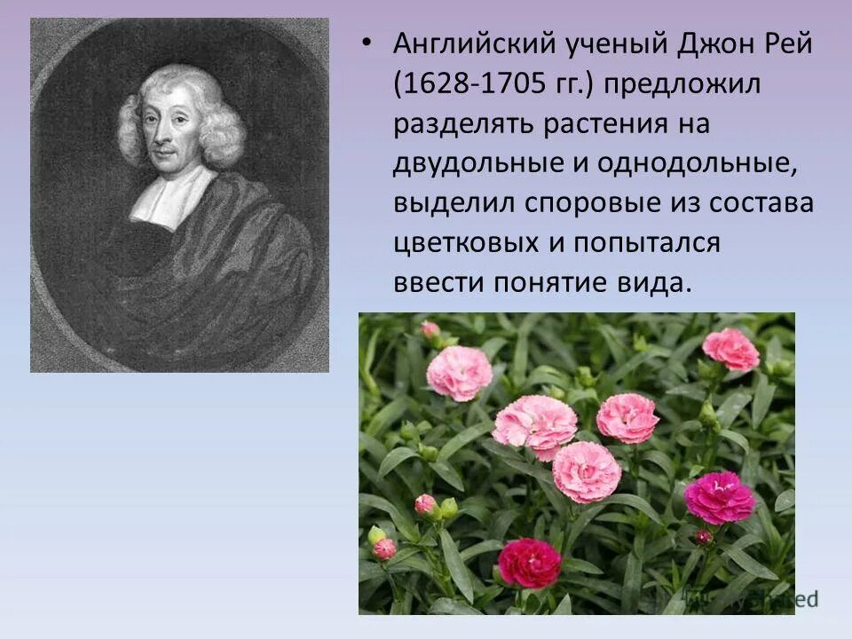 История развития эволюционных взглядов. Эволюционное учение. Лайель ученый. Спенсер органическая теория портрет. Спенсер органическая теория портрет.