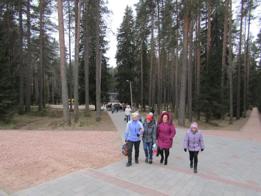 Подпорожье погода на 10 дней ленинградской области. Парк в Подпорожье Ленинградской области. Подпорожье городской парк. Проект парка Подпорожье. Подпорожье парк фото.