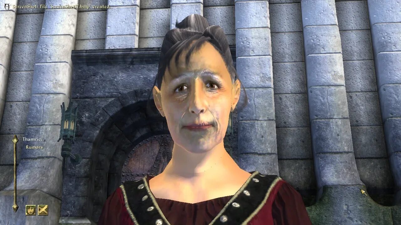 Говорящий npc. Oblivion npc. нпс обливион мем. обливион лица персонажей. нпс из обливиона.