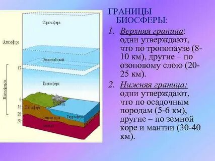 В литосфере граница биосферы обусловлена таким фактором