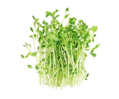 Pea shot