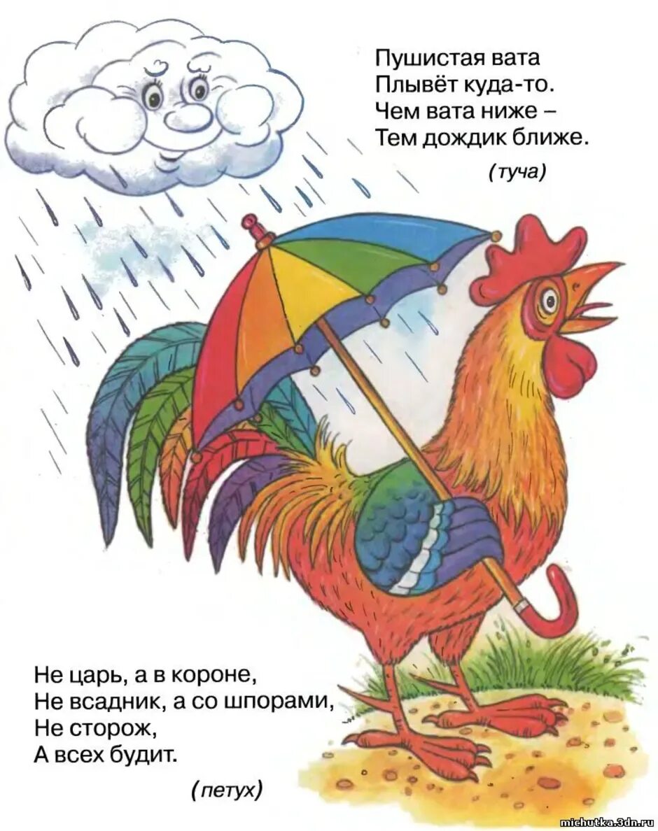 Рассказ со словами бегемот крокодил петух утконос. Загадки. Детские загадки. Загадки длядошкольнико. Загадки про лето.