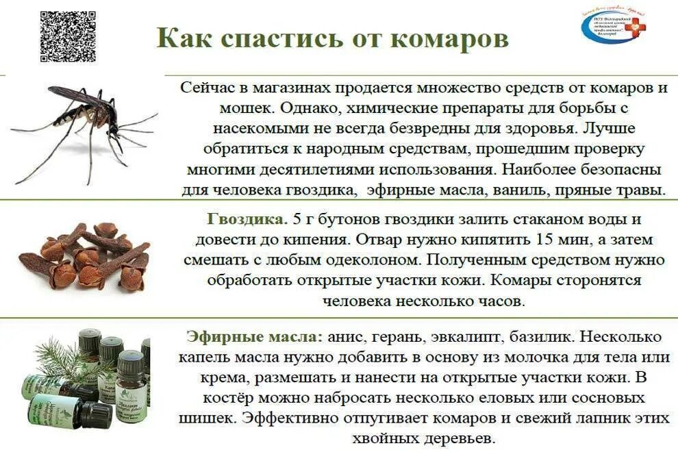 Спастись от мошек. Народные средства защиты от комаров. Защита от мошки и комаров народные средства. Народноесредствооткоморов. Средство от комаров в домашних условиях.