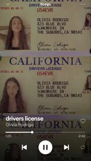 Drivers license olivia