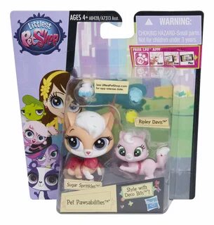 In the night pet shop