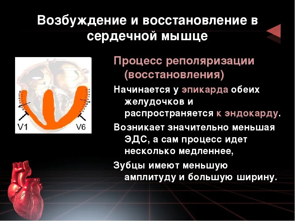 Сердце будут восстанавливать