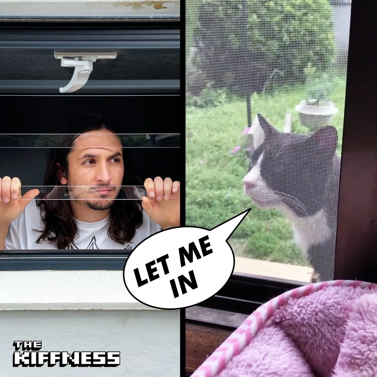The kiffness please go