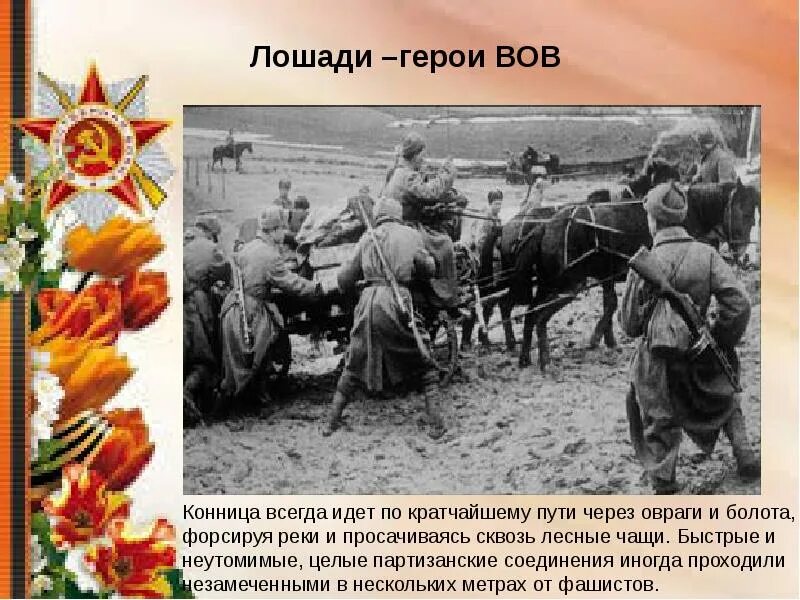 Коровы герои войны 1941-1945. Животные на войне 1941-1945. Животные герои Великой Отечественной войны 1941-1945. Животные герои ВОВ.