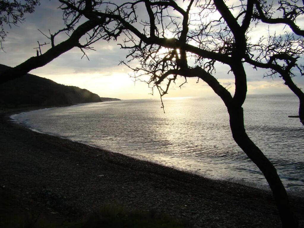 Пасмурный пляж. Пляж седанка владивосток. Владивосток седанка море. Николай берег фото певца. Опять берег.