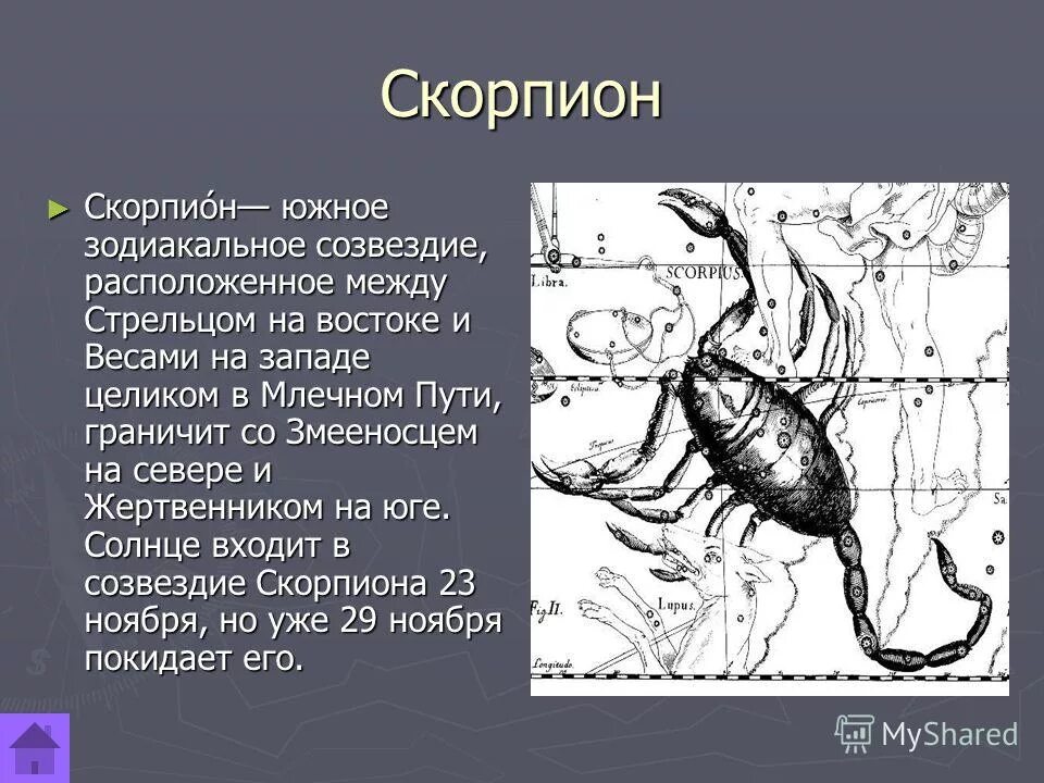 Гороскоп скорпион 2. Созвездие скорпиона доклад. Легенда о созвездии скорпиона. Сообщение о созвездии Скорпион. Особенности созвездия Скорпион.