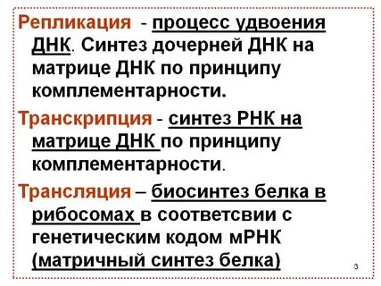 Редупликация биология