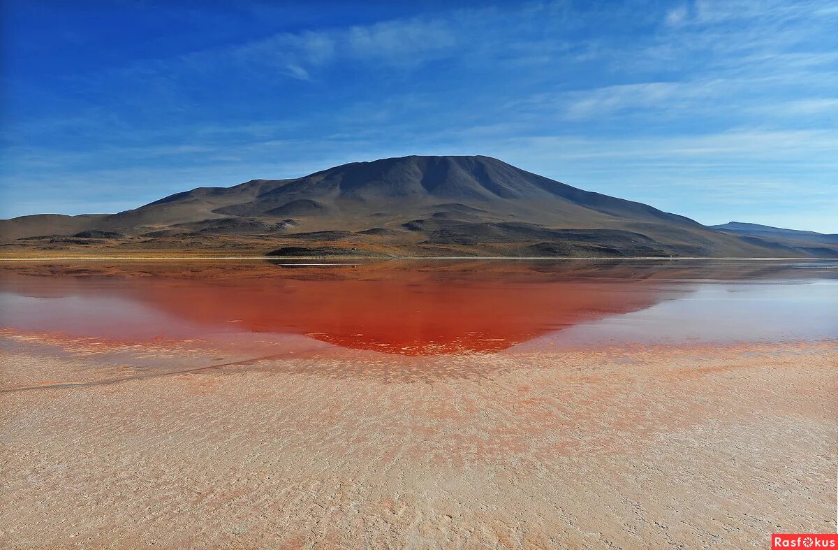 Салар де педерналес. Красное озеро лагуна колорадо. Красная лагуна боливия. Лагуна колорадо озеро. Озеро лагуна, лагуна колорадо.