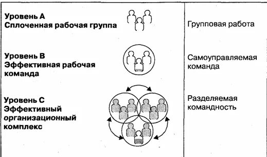 Рабочая группа команда проекта