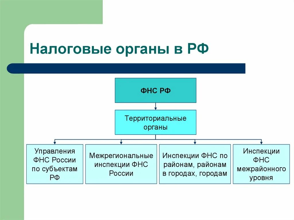 Интересы налоговых органов. Налоговые органы РФ презентация. Право налоговых органов. Федеральная налоговая служба полномочия.