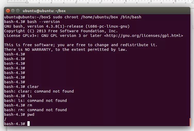 Linux find command. Bash Linux. Chroot Linux. Bash команды. Команды Bash в Linux.