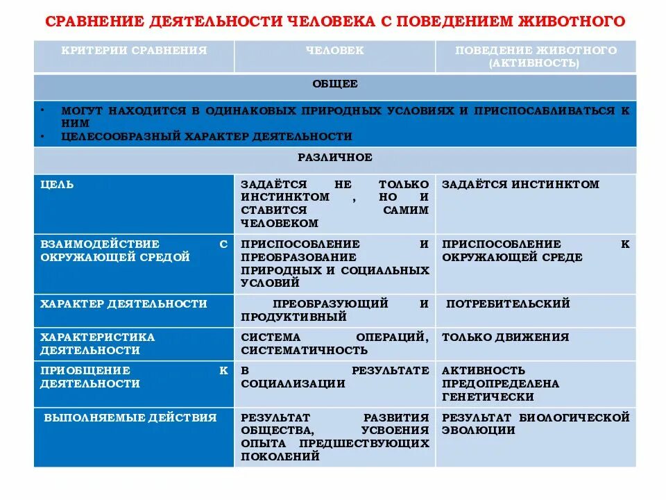 Критерии сравнения деятельности