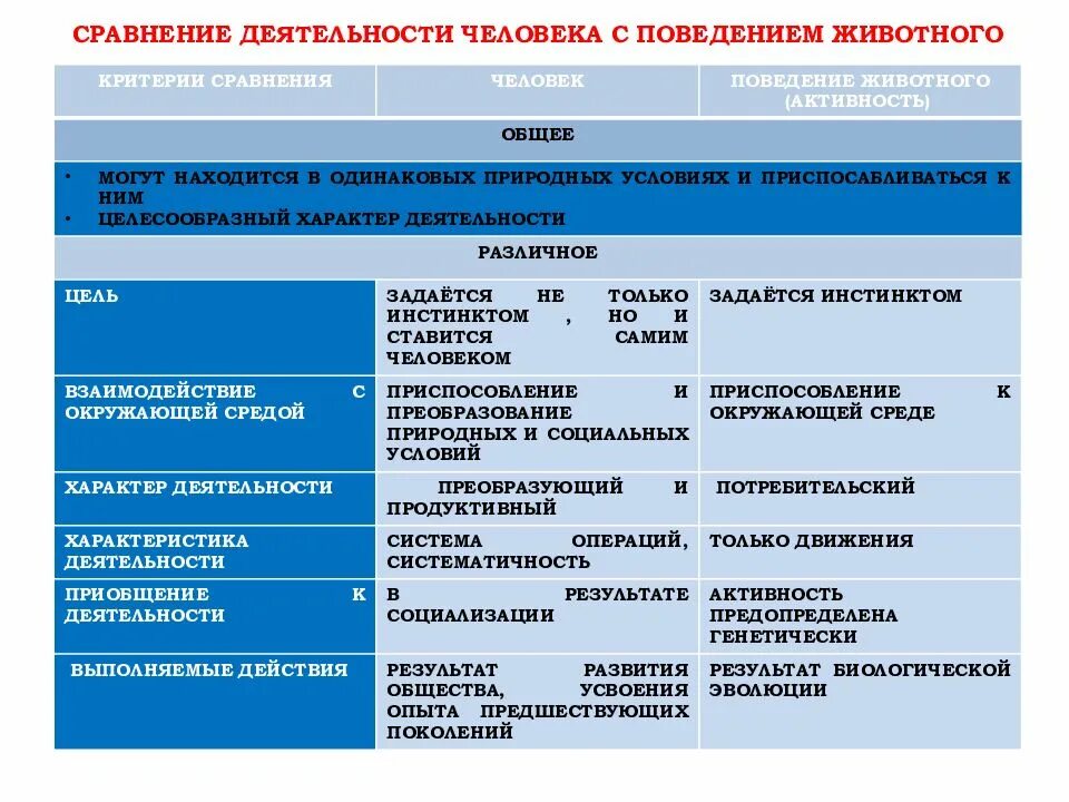 Чем отличается поведение человека от животного. Сходства деятельности человека и животного. Сходства деятельности человека и поведения животных. Критерии для сравнения людей. Критерии деятельности человека.
