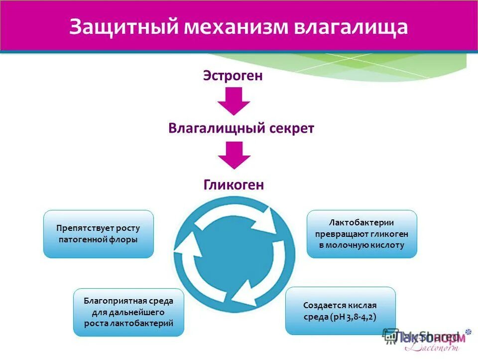 какая среда во влагащение. какая среда во влагащение. препараты для закисления влагалища. щелочная среда во влагащение. щелочная среда во влагащение причины.