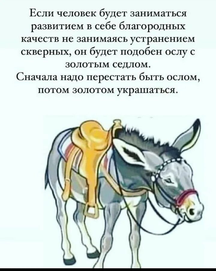 Рассказ с ишаками. Фразеологический словарь для детей. Верхом на осле. Упрямый ишак. Рассказ с ишаками.