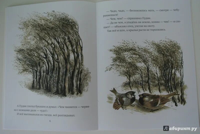 иллюстрация к рассказу воробьишко горького. "воробьишко". горький м. горький. воробьишка горький читать.