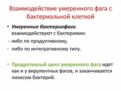 Умеренные бактериофаги