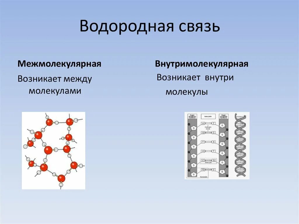 Образования межмолекулярной водородной связи. Водородная связь. Внутримолекулярная водородная связь. Межмолекулярные водородные связи. Межмолекулярная и внутримолекулярная водородная связь.