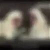 Бари оз колында