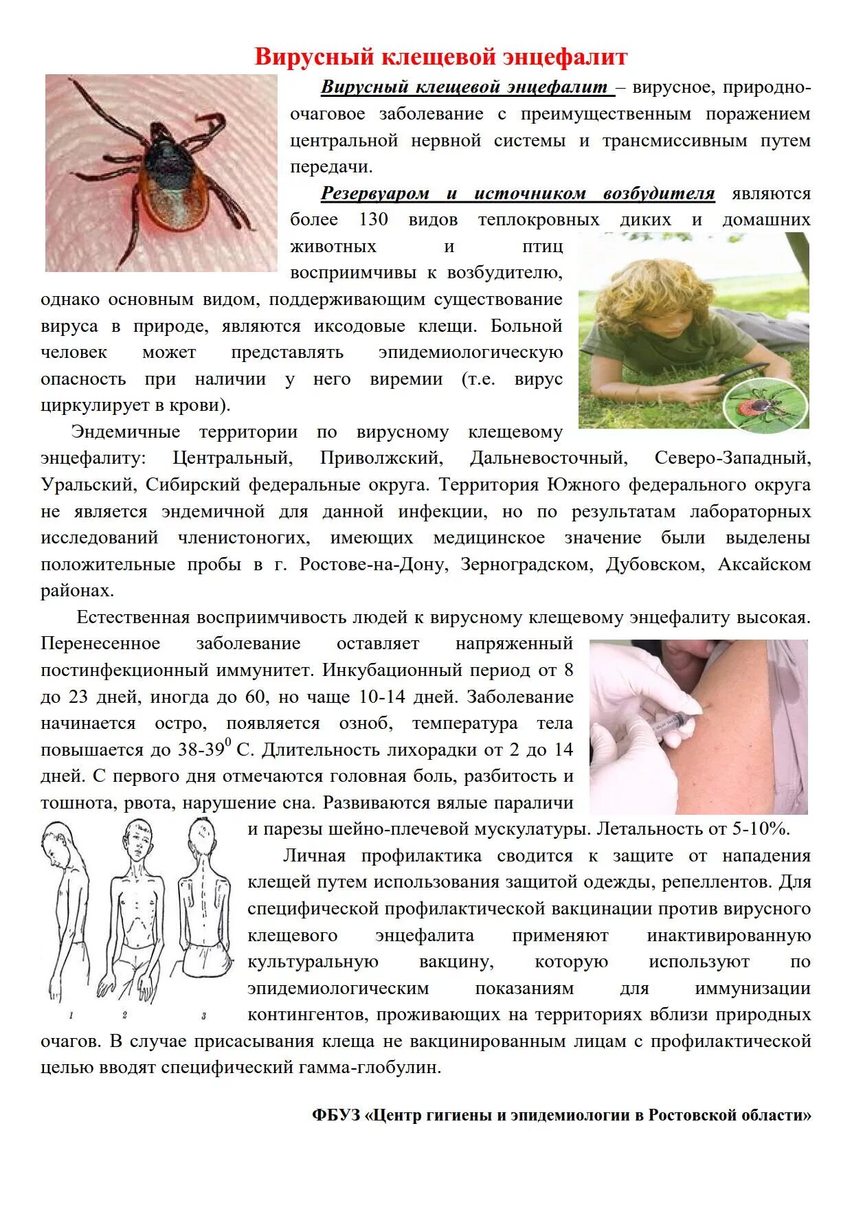 Энцефалита кемерово. Меры профилактики против клещевого энцефалита. профилактика клещевого энцефалита памятка. профилактика клещевого энцефалита вакцинация. профилактика клещевого вирусного энцефалита.