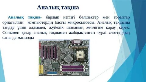 Догги стиліндегі позициядағы жас кискалар