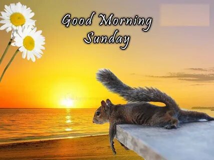 Good morning i