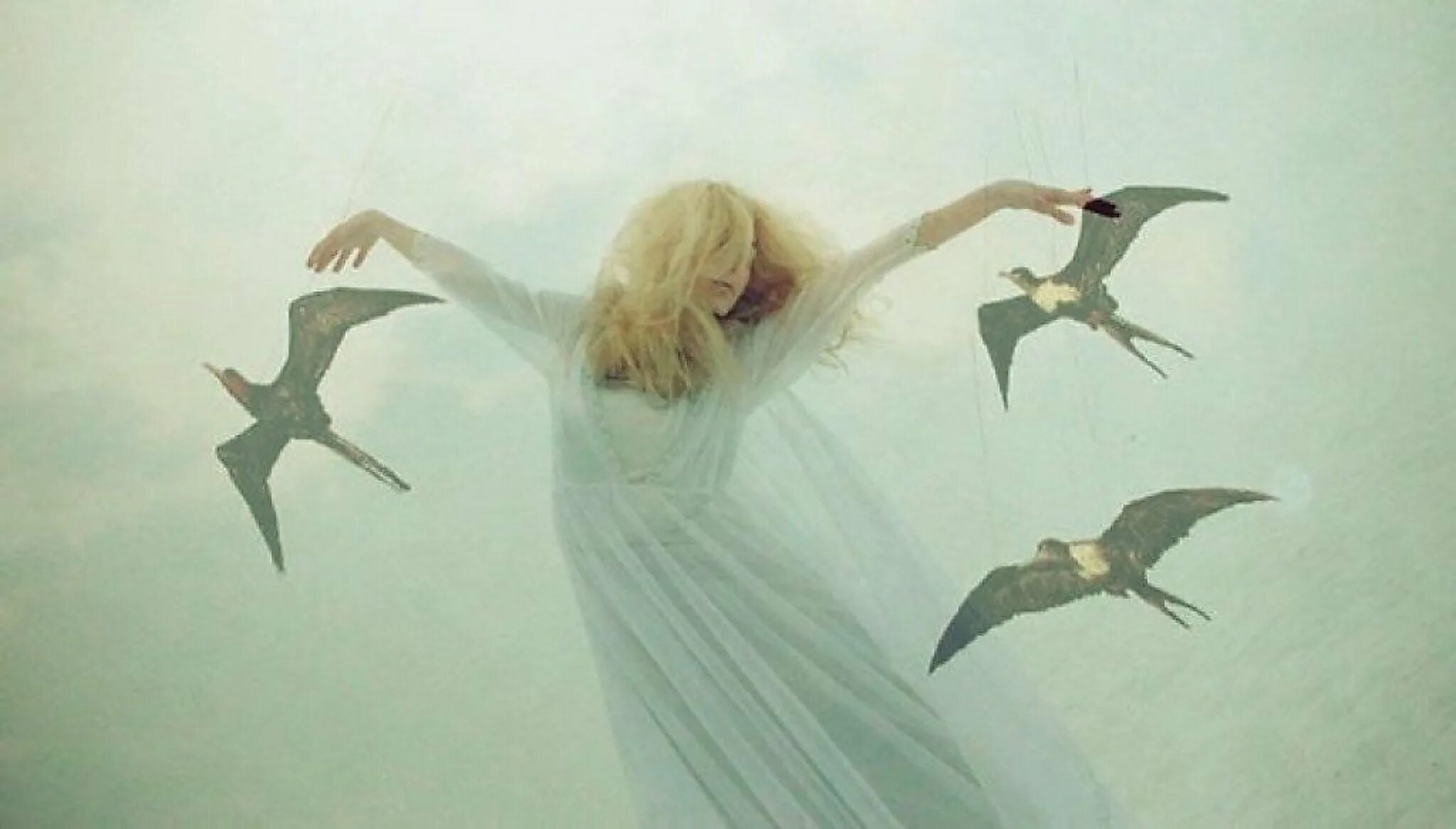 Жизнь есть танец. Девушка с крыльями птицы. Птица в полете. Птица взлетает. Парящая птица.
