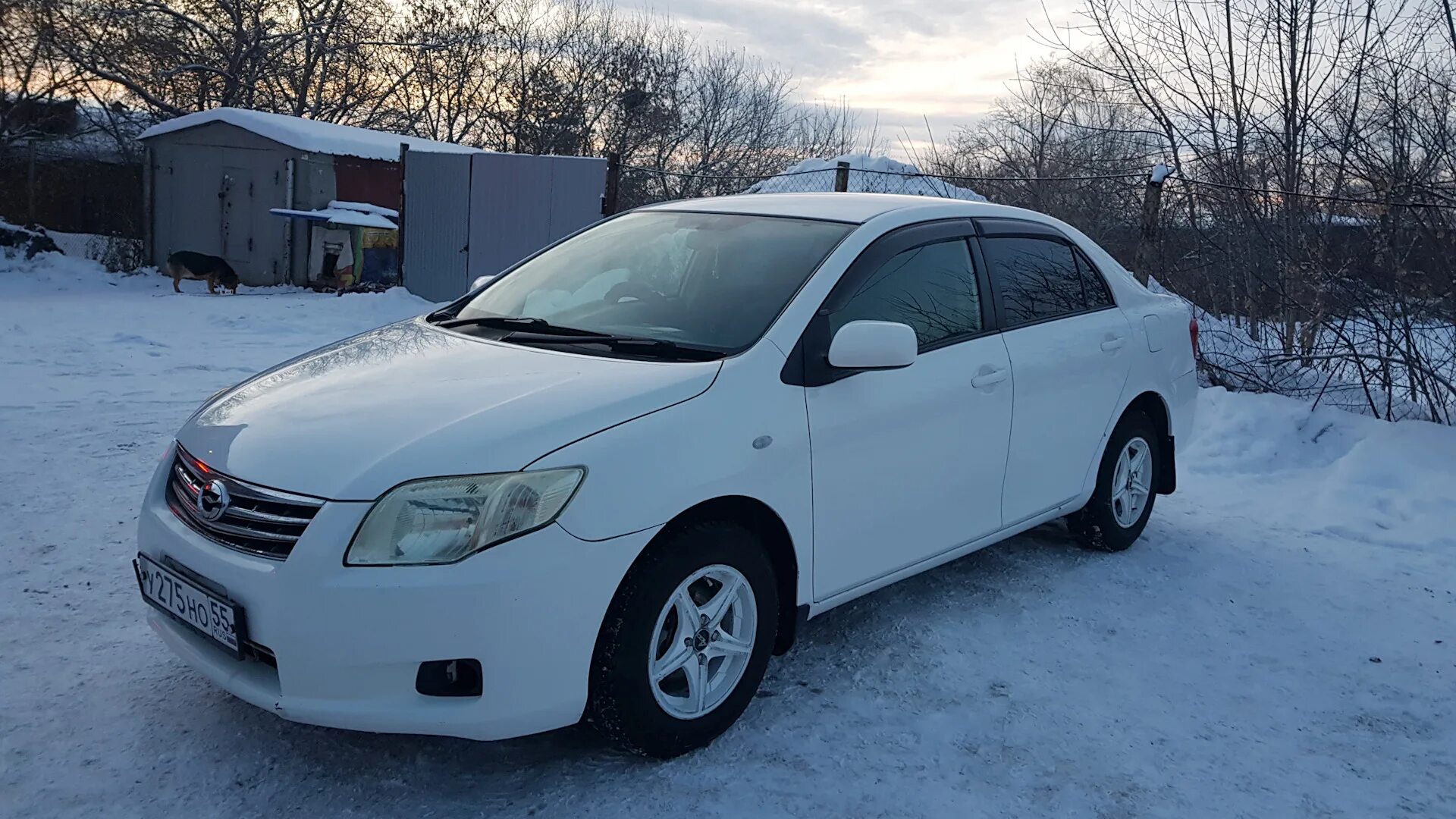 Продаже тойота аксио. Тойота Аксио 2008. Toyota Corolla Axio 2008. Тойота Королла Аксио 2010. Королла Аксио 140.