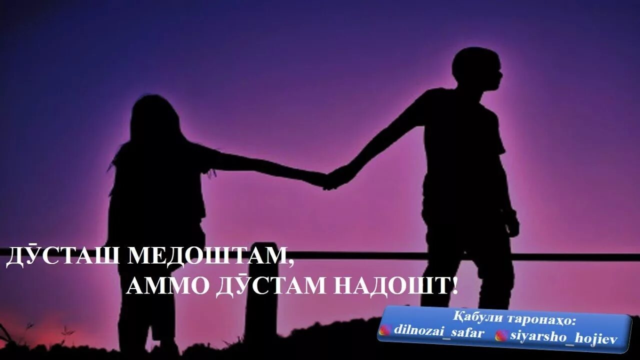 Дуст дори. Дуст дори. Туро ман. Дуст дори. Дуст от насекомых.