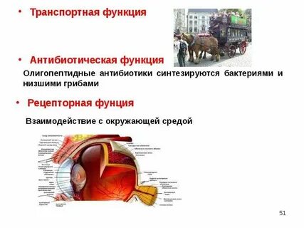 Фунция это