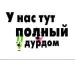 Дом в котором я живу называется дурдом. Надпись дурдом. у нас тут полный дурдом. прикольные надписи о дурдоме. картинки с надписью про дурдом.