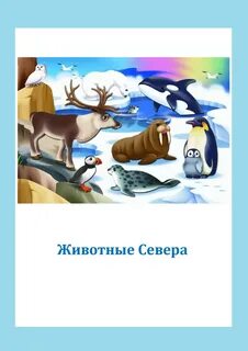 Тема недели животные