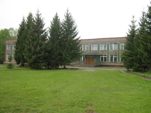 гимназия 4 имени братьев каменских пермь. школа 1246 официальный сайт. школа 1246 метрогородок. школа имени братьев. анна минина школа 1246.