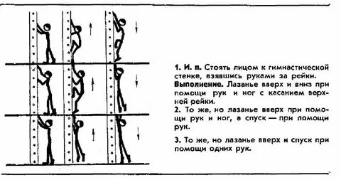 Течение минуты 5 упражнение на