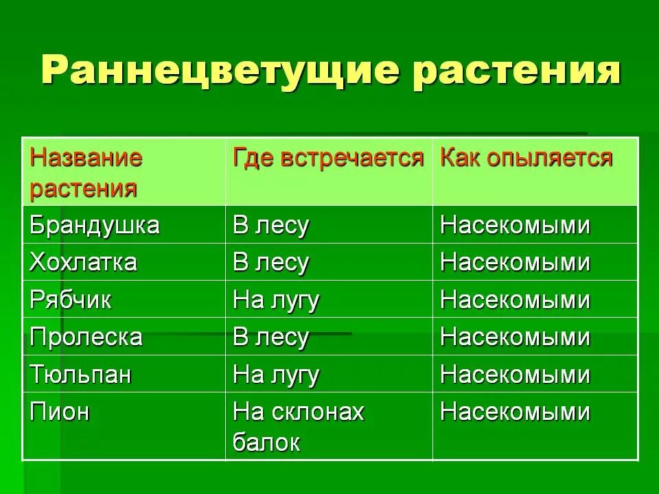 Названия раннецветущих растений окружающий мир 2 класс. Раненецветветущее растения. ранне цветущее растения. ране цветущие растение. название раннецветущих растений.