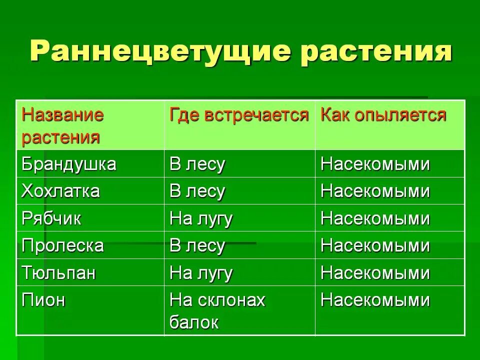 Раненецветветущее растения. Ранне цветущее растения. Ране цветущие растение. Название раннецветущих растений.