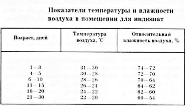 Температура в брудере для индюшат. Температурный режим для индюков таблица. Температурный график выращивания индюшат. Температурный режим содержания индюшат. Температура в брудере для индюшат таблица.