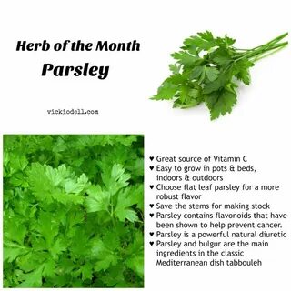Parsley перевод на русский