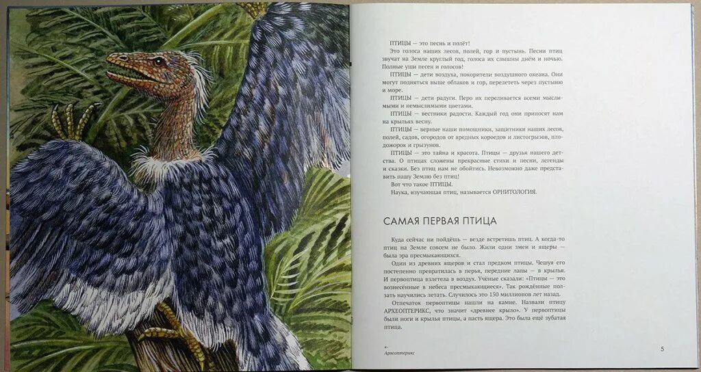 1 птица на земле. Самая первая птица. самая первая птица на земле.