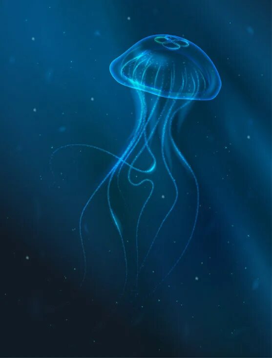 Логотип jellyfish. Sweetpods хабаровск. Медуза из фетра. Кальянная медуза г белая калитва. Медуза шоп.